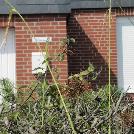 Bungalow Passat In Strandnahe Σπίτι διακοπών *